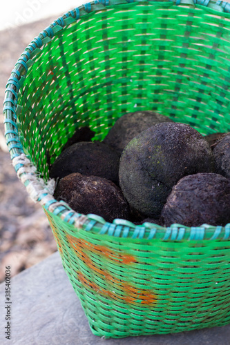 Castanha do Para Brasileira