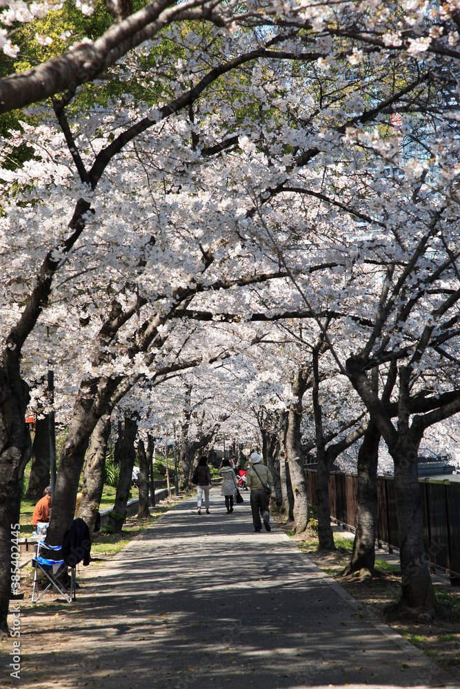 毛馬桜の宮公園