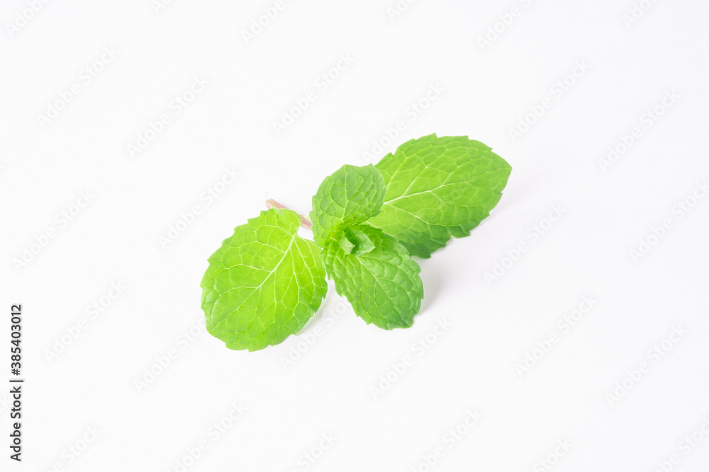 Raw spearmint in white background. Raw spearmint in white background.