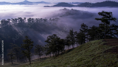 fog in the mountains