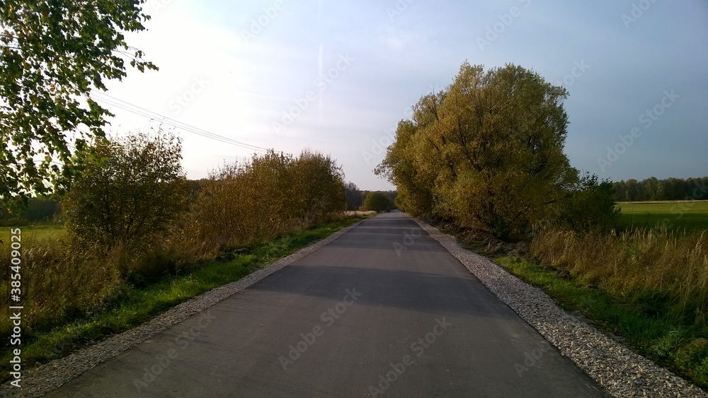 Fototapeta premium Russian nature. Forest.