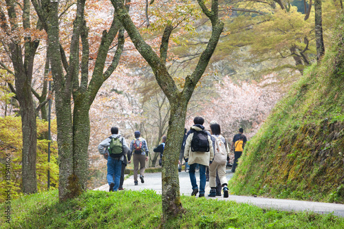 桜咲く吉野山をハイキング