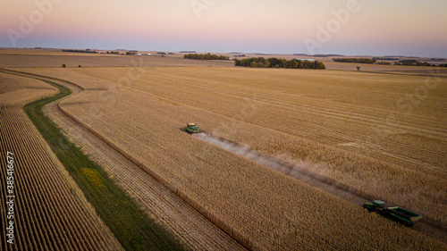 Harvest time