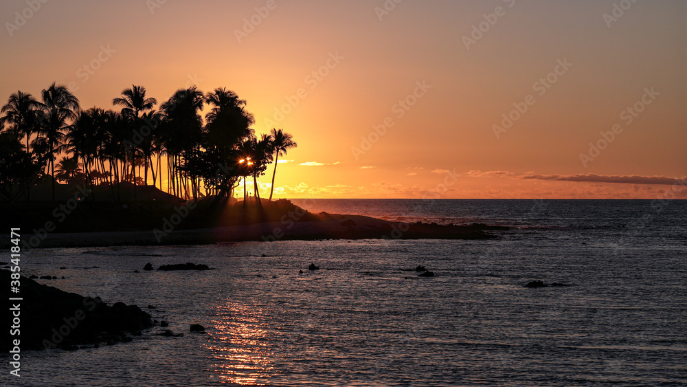 Scenic sunset over Pacific ocean viewed from Waiulua bay, BIg Island, Hawaii Setting sun send it's rays through a row of palm trees.