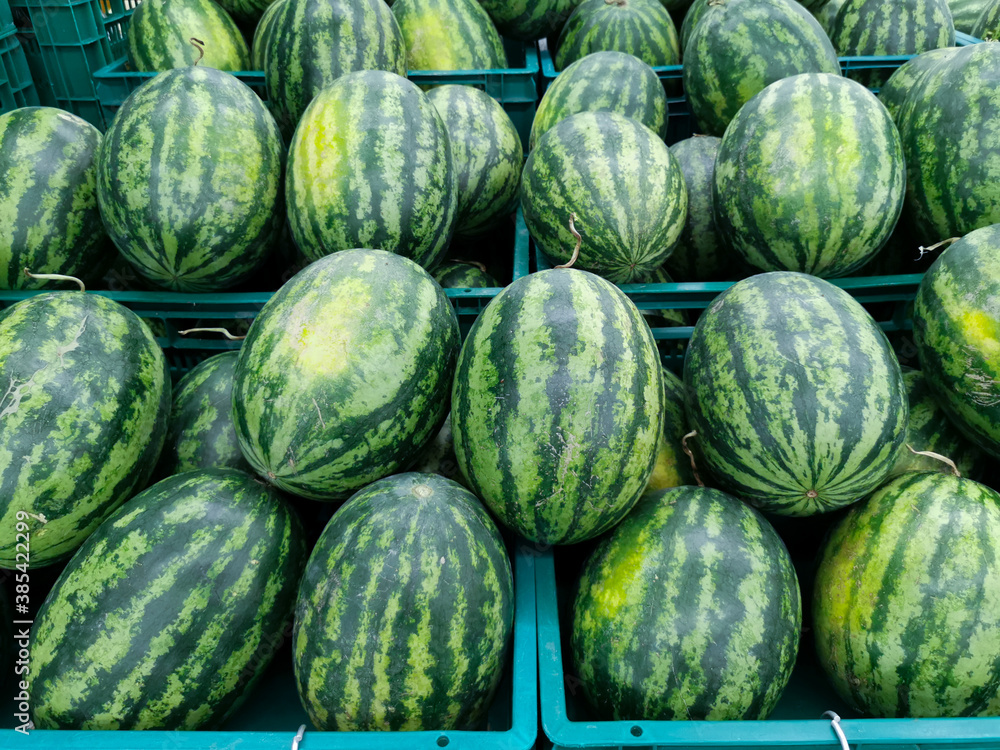 watermelons at the market watermelons at the market