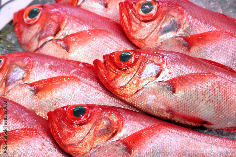 魚売り場の金目鯛 キンメダイ Red bream in Seafood market splendid alfonsino 魚売り場の金目鯛 キンメダイ Red bream in Seafood market splendid alfonsino