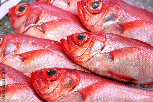 魚売り場の金目鯛 キンメダイ Red bream in Seafood market splendid alfonsino