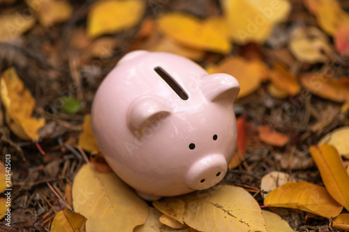 Pink piggy Bank in autumn leaves on the ground. Autumn background