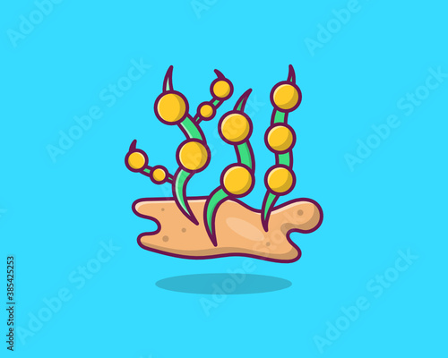 Macroalgae 