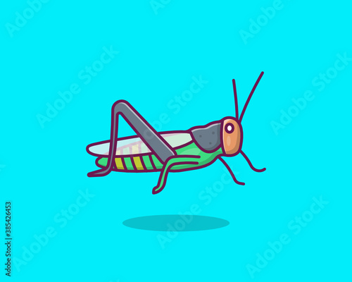 Praying Mantis 
