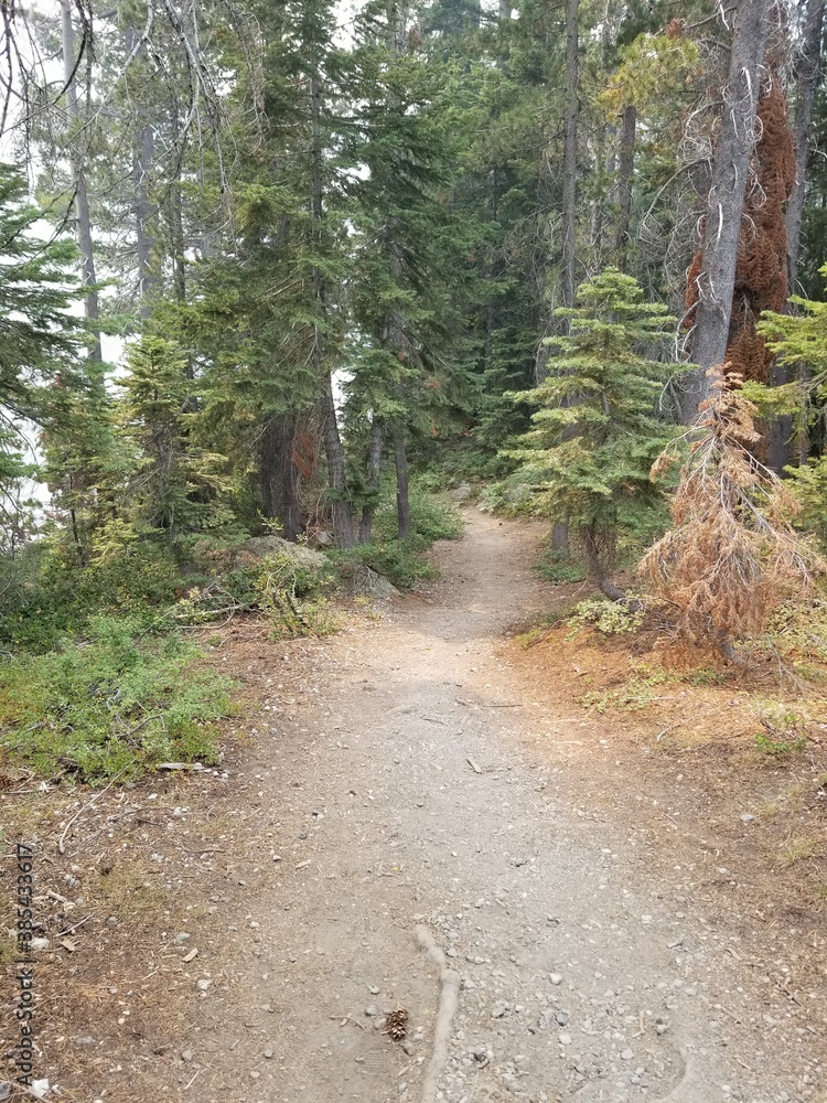 Fototapeta premium Castle Lake Trail