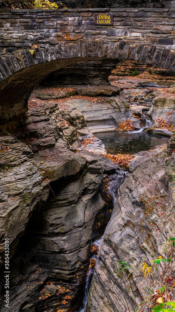 rocks in the forest