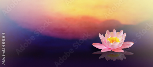 Photo Pink lotus flower with sunrise background.