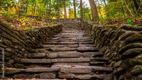 stone steps in the garden