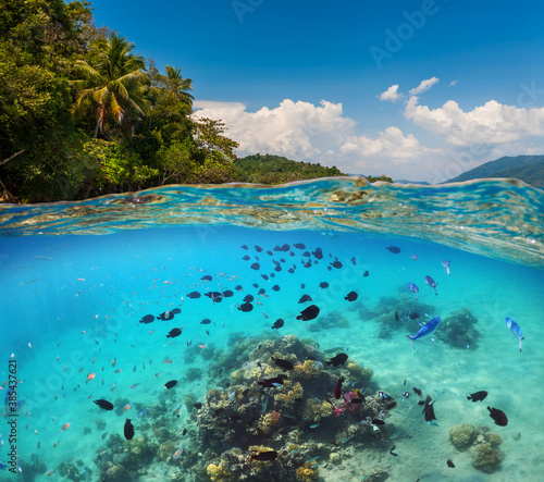 Underwater Scene With Reef And Tropical Fish. Snorkeling in the tropical sea