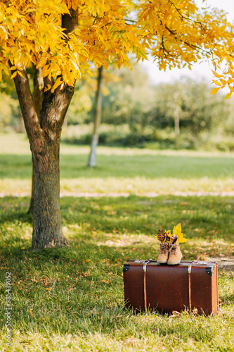 Old brown boots with leaves inside. Boots and brown vintage suitcase in autumn forest. Path with yellow leaves. Leather suitcase under the tree. Autumn nature, yellow and red foliage.