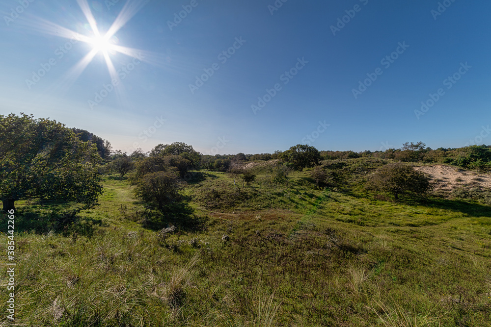 Rural dry bush and grassland with blue cloudless skyline landscape in South Holland, Leiden, NL