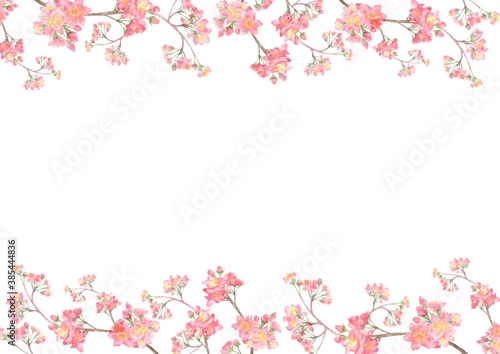 水彩で描いた桜のフレーム © yokoobata