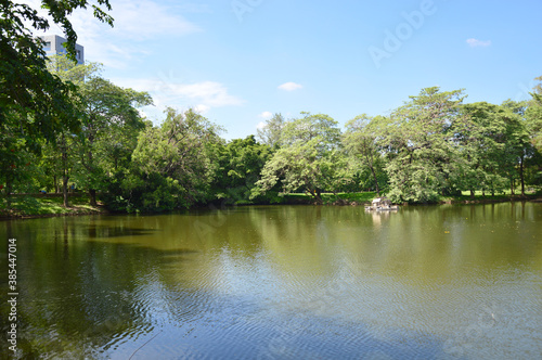 lake in the forest