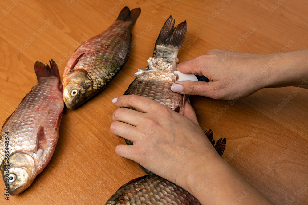 Top view woman cleans fish with knife