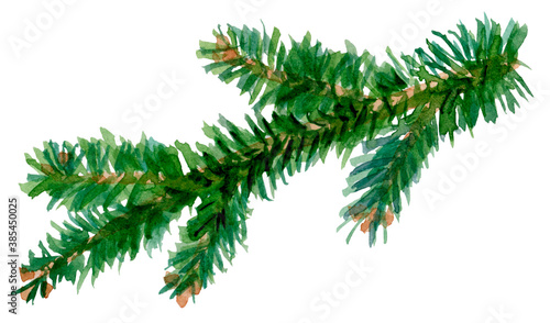 Spruce branch. Christmas tree. Conifer trees. Isolated on white. Abstract hand-drawn watercolor element. Perfect for Happy New Year cards and Merry Christmas