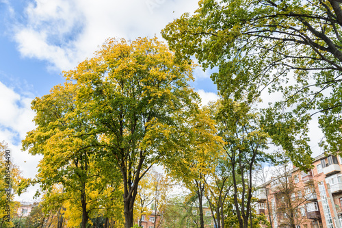 In the courtyard of stalinka building. Orange and green trees, Ukraine, Kharkov photo