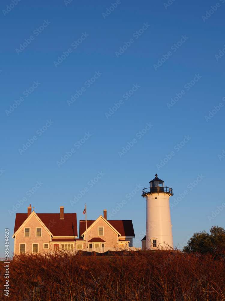 Tall landscape photo with a lighthouse and red rooftop housing over the wild plant bushes on clear blue sky background at sunset