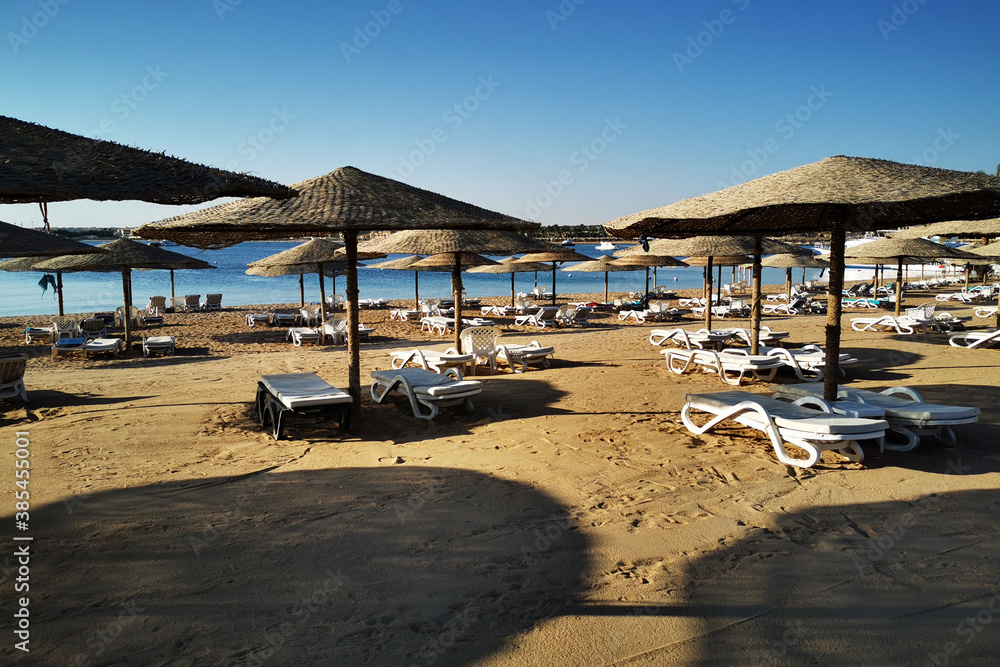 beach in the egypt