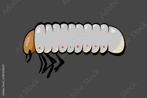 Stock vector illustration of larva. With many segments six legs and orange stains. Doodle insect picture of wildlife ideal for cartoons, pattern creation, jokes and decoration. White lares on gray. photo