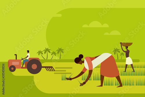 Agricultural workers planting paddy seedlings in the field with a tractor in the background