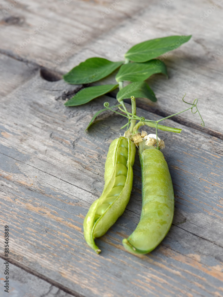Pea pods with leaves on a wooden table in the garden on a summer day Pea pods with leaves on a wooden table in the garden on a summer day