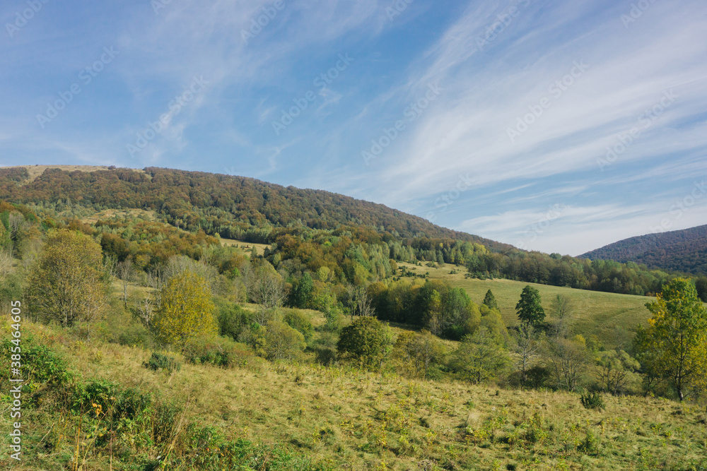 Bieszczady National Park in Poland landscape. Autumn mountain trekking. Rural scenery background. Hiking trail on the hill. Blue sky idyllic view.