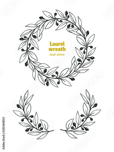 Laurel Bay leaves, branches and fruits detailed hand drawn vector black and white illustration 