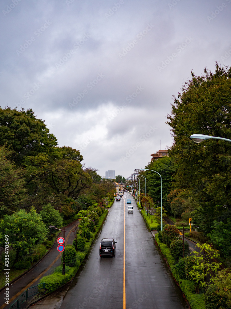 曇り空と雨に濡れた道路