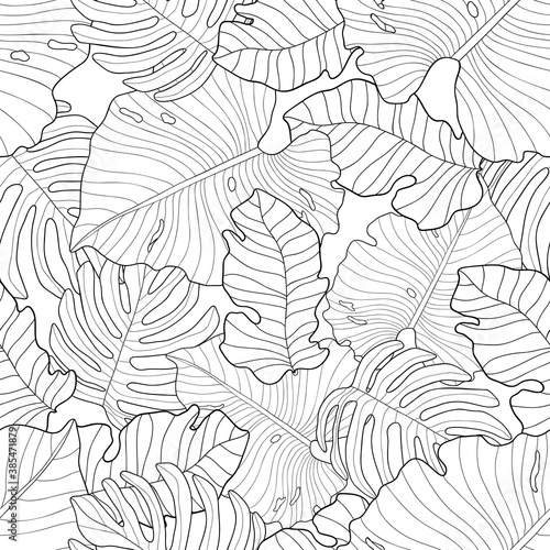 Hand drawn black leaves of monstera, palm and other plants on white background. Seamless tropical floral pattern. Suitable for coloring book ,wallpaper, textile, packaging.