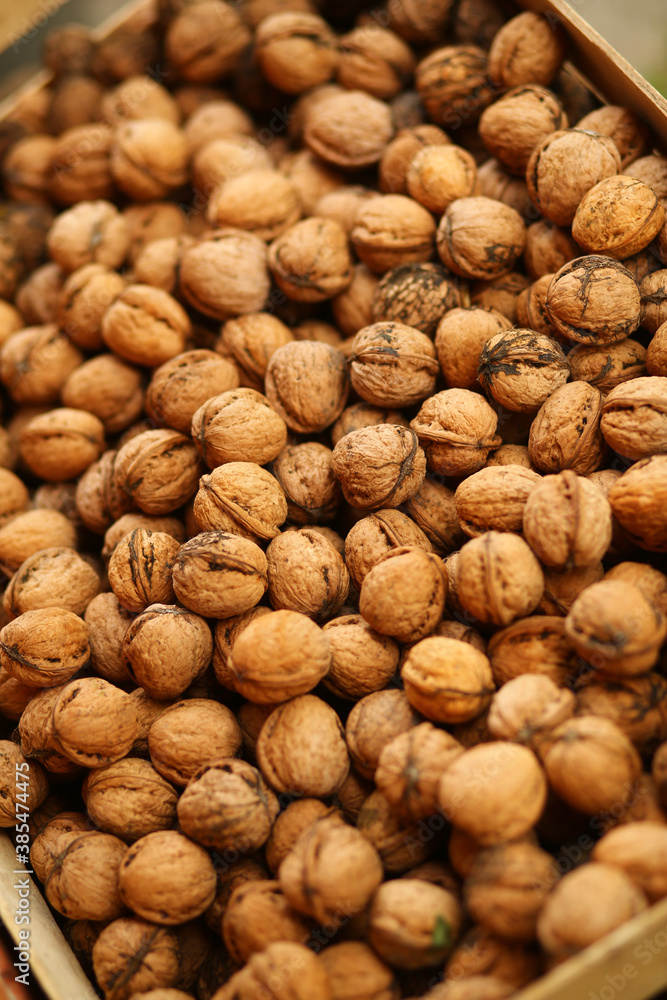Closeup of autumn harvest of ripe walnuts gathered in a box outdoors, aerial view Closeup of autumn harvest of ripe walnuts gathered in a box outdoors, aerial view