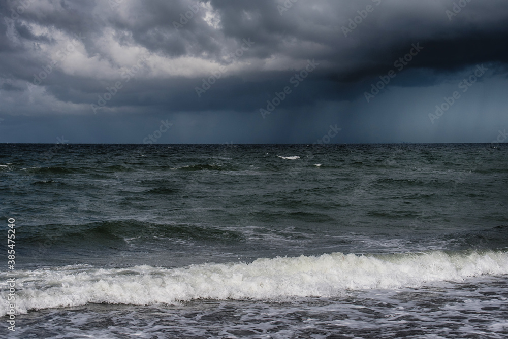 Baltic sea coast on Darss in Germany