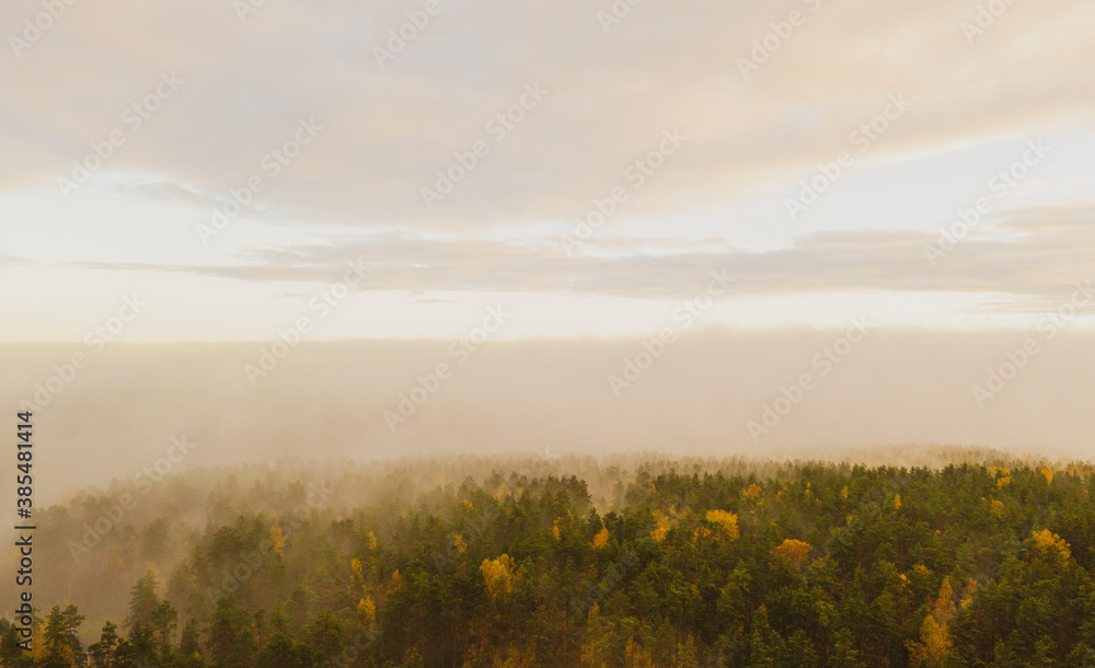 Aerial view foggy forest. Top drone view of fog forest in the morning forest. Wild mist nature background texture. Scenic misty woodland with fog