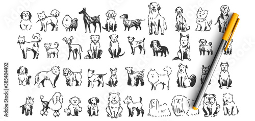 Dogs doodle set. Collection of hand drawn pencil ink drawing sketches templates patterns of domestic animals puppies dolmatins chihuahua pug spitz pets on white background. Human friends illustration.