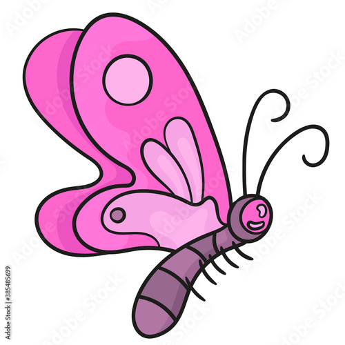 insect butterfly with pretty color