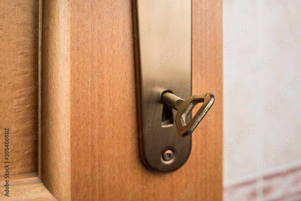 Door plate with handle on a wooden door Door plate with handle on a wooden door