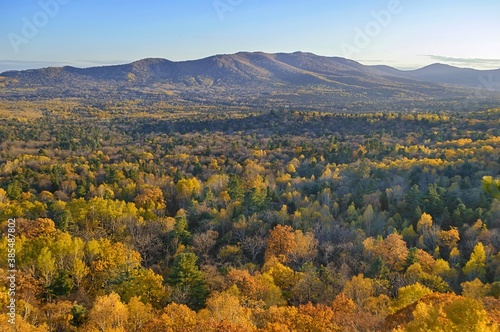 Colored cloth of the far Eastern taiga in autumn. Bolshekhekhtsirsky Nature Reserve. Khabarovsk Krai  Russia.