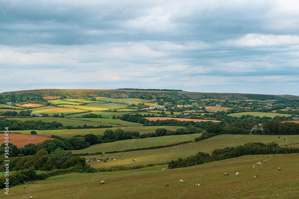 Beautiful landmark of Devonshire farmlands, far distance view for trees and fields, mostly man made landscape of british farms and grazing fields for sheeps Beautiful landmark of Devonshire farmlands, far distance view for trees and fields, mostly man made landscape of british farms and grazing fields for sheeps