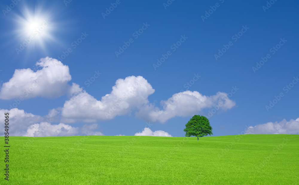 Obraz premium 緑の草原と雲と太陽