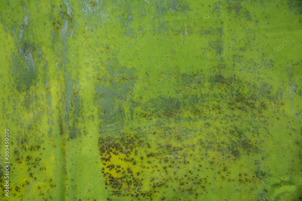 Fototapeta premium Green paint and rust on the old iron. Background, texture.