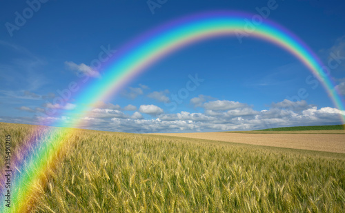 麦畑と雲と虹