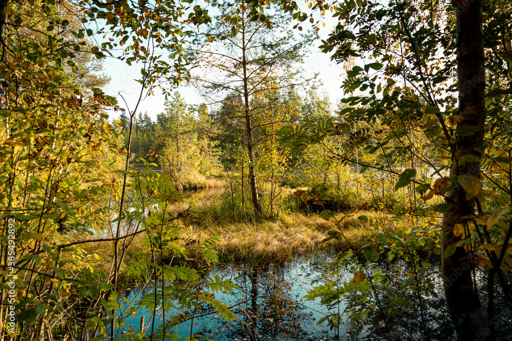 Obraz premium lake in autumn