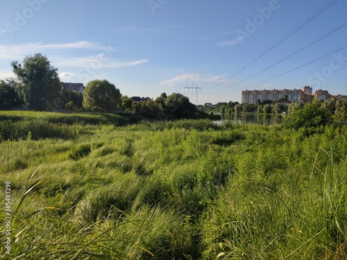 glade with tall green grass on the background city