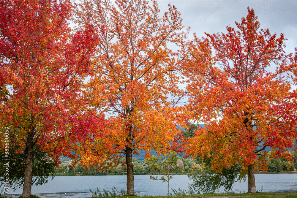 Autumn in Divonne Autumn in Divonne