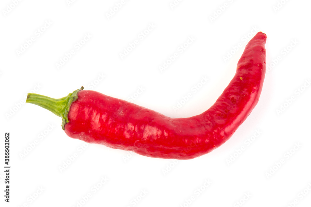 Red hot chili pepper isolated on white background. Close-up
